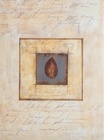 GEDEON album samolepící  PRIMO 1 - BUK, 28x22,5cm, 20 stran