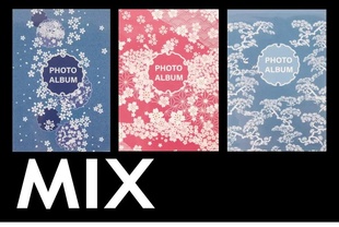 FANDY album sešit směs 10x15/24