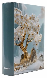 FANDY album FLOW 1, 10x15cm/300M