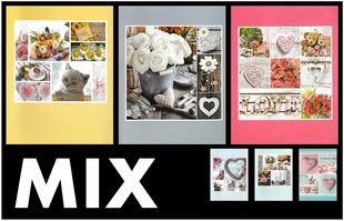 FANDY album sešit MIX FANDY  9x13/36