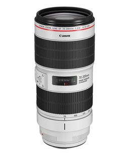 CANON EF 70 - 200mm / 2.8 L IS III USM