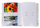 album  FLOWER 10  10X15/200M_obr4