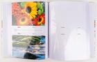 album  ABLOOM 2   10x15/200M_obr4