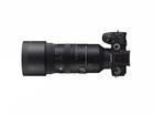 AF 70 - 200mm / 2.8 DG DN OS SPORTS  Sony E (Full Frame)_obr13