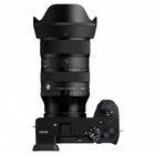 AF 17 - 40mm / 1.8 DC Art  Sony E (APS-C)_obr8