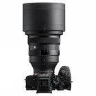 AF 135mm / 1.4 DG Art  Sony E (Full Frame)_obr11
